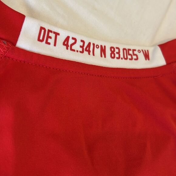 Fanatics Men's Detroit Red Wings Hockeytown Crew Neck Raglan Sleeves T-Shirt L - Picture 8 of 9